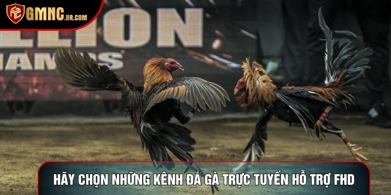 Hãy chọn những kênh đá gà trực tuyến hỗ trợ FHD