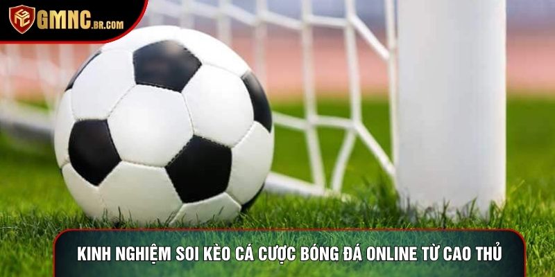 Kinh nghiệm soi kèo cá cược bóng đá online từ cao thủ