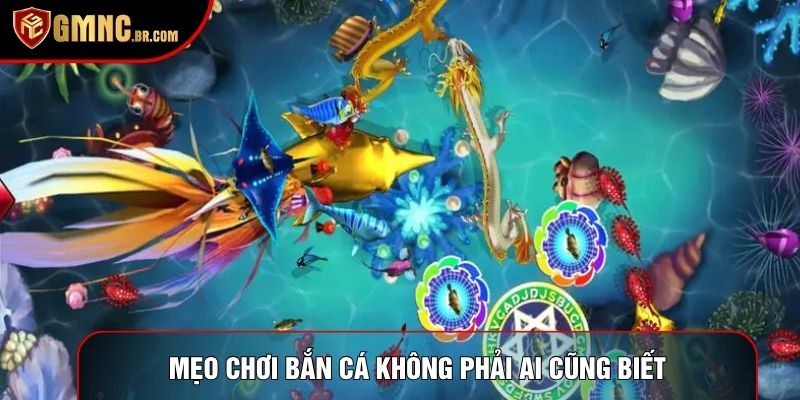 Tối ưu ngân sách là mẹo chơi bắn cá cần nhớ