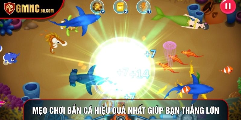 Mẹo Chơi Bắn Cá Hiệu Quả Nhất Giúp Bạn Thắng Lớn Mỗi Ván